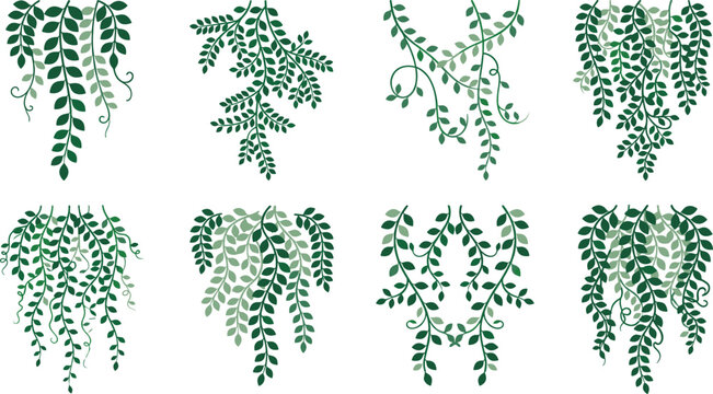 Hanging green ivy plants vector icon set with climbing tropical creepers curly tendrils foliage garlands and trailing eucalyptus vine branches decoration borders