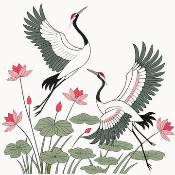 Two red-crowned cranes flying over pink lotus flowers and green lily pads in a pond with a white background, for a peaceful scene