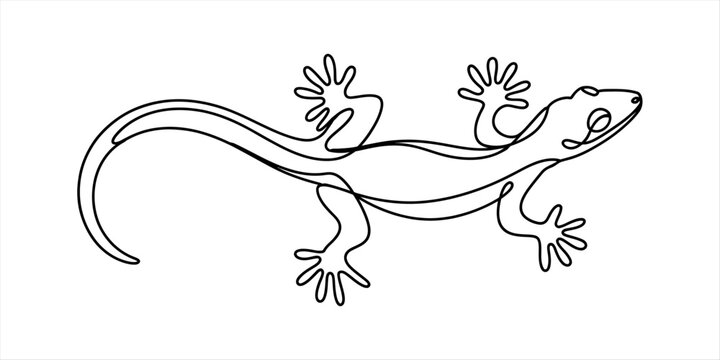Minimalist continuous single line drawing of a gecko lizard moving forward isolated graphic art illustration in black and white style for modern design