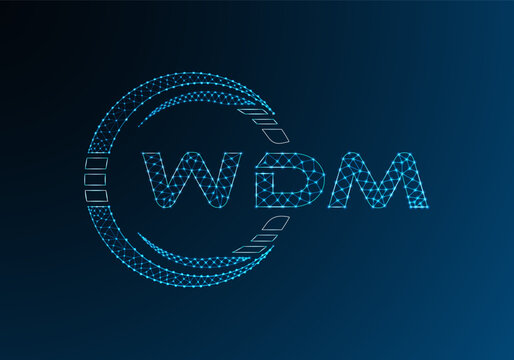 WDM low poly letter logo vector design. WDM lower poly logo design. Low poly logo.