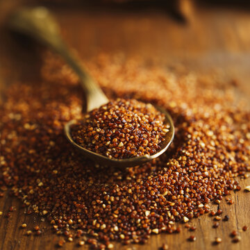 Macro Close Up of Red Quinoa Seeds or Raw Supplement Granules on a Rustic Wooden Spoon