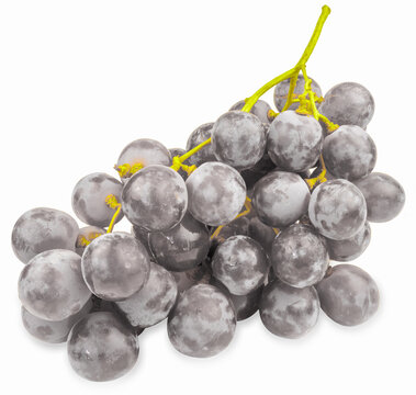 grappe de raisin 