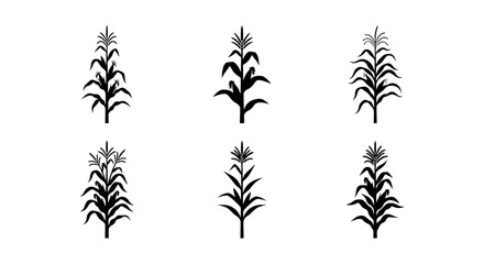 Corn Stalk Icons, Maize Plant Silhouettes, Agricultural Crop Vector Graphics, Organic Food Symbols © Samim