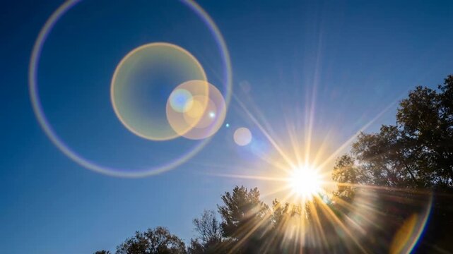 Bright sunny sky with sun flare and trees during clear weather for nature and outdoor scenery
