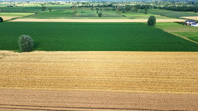 A golden wheat field meets green farmland in graphic French countryside.