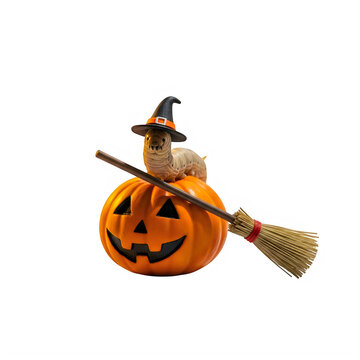 Halloween jack o lantern with witch hat and broomstick
