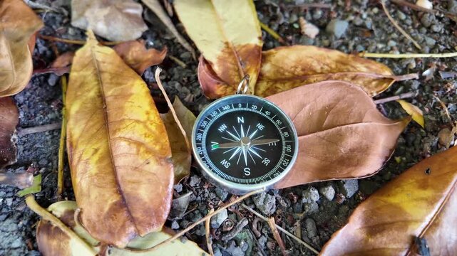 Compass on Autumn Leaves for Woodland Navigation
