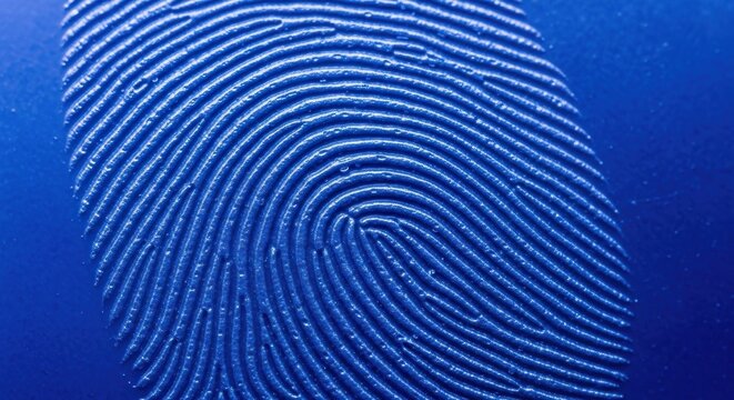 Macro blue fingerprint pattern texture.