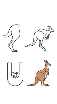 Collection of Kangaroo Illustrations and Silhouettes for Wildlife Art.