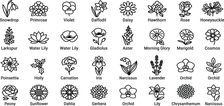 Botanical Garden Flowers and Wild Flora Hand Drawn Minimalist Line Art Icon Set with English Text Labels for Organic Branding Design Vector