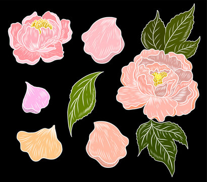 Peony flower vector for tattoo design.Traditional Japanese floral illustration for doodle art and printing on background.Peony vector for sticker and printing on shirt.Element on backdrop.