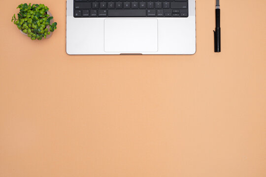 Top View of Laptop, Pen, and Plant on Peach Background with Large Copy Space