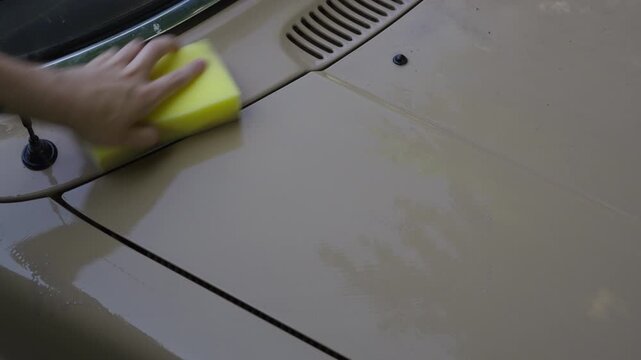 Arm moves quickly while polishing a beige classic car hood with a yellow sponge, removing water and dirt.