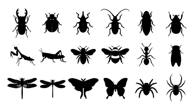 Set of black insect and spider silhouettes featuring beetles, bees, butterflies, ants, and dragonflies isolated on white background