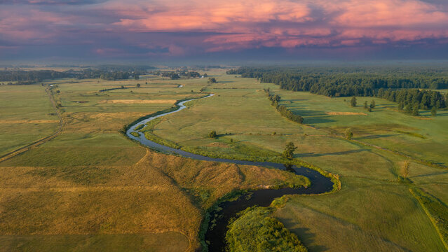 Meandering Liwiec River in the Masovian Voivodeship, Poland, during the summer season, illustrating its natural flow regime and the environmental significance of its water resources.