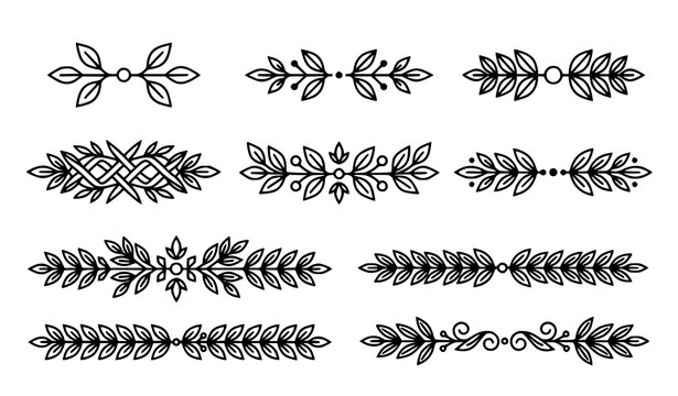 Elegant floral divider collection featuring botanical branches leaves ornamental borders and decorative line vector elements