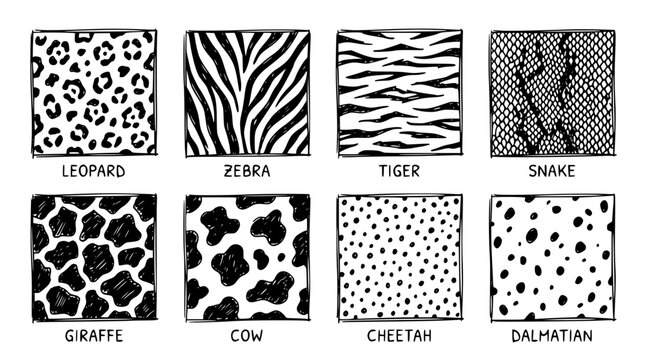 Hand drawn animal print pattern elements leopard zebra tiger snake giraffe cow cheetah dalmatian, black ink sketch vector illustration