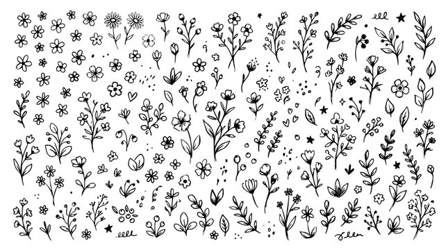 Hand drawn ditsy floral print elements small flower leaf dot scatter repeat toss sprig, black ink sketch vector illustration
