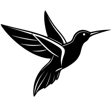 hummingbird silhouette vector
