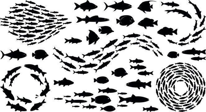 Fish silhouette vector collection featuring schools of fish sea wildlife marine animals and underwater swimming aquatic creature design elements