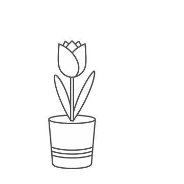 Tulip in a pot line art