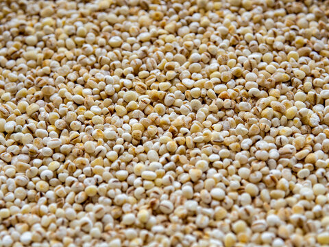 Close-up of raw white quinoa seeds filling the entire frame, creating a natural organic grain texture. Healthy superfood rich in protein, fiber, vitamins, and minerals