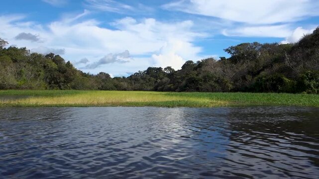 A serene cinematic view of the flooded Amazon rainforest and Juma river under a blue sky, showcasing authentic sustainability and ecofriendly nature.