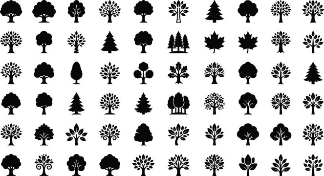 Large Vector Collection of Black Tree Silhouettes and Forest Plant Icons for Landscape Maps Architectural Site Plans and Eco Friendly Brand Designs