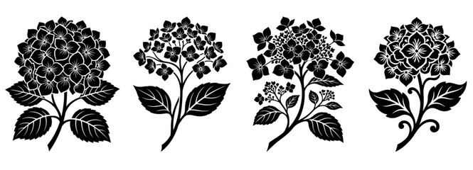 Fototapeta premium Hortensja vector silhouette black flower collection of elegant botanical garden bloom shape.