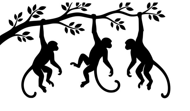 Playful Monkey Silhouettes Hanging from Tree Branches in Tropical Jungle Wildlife Vector Illustration