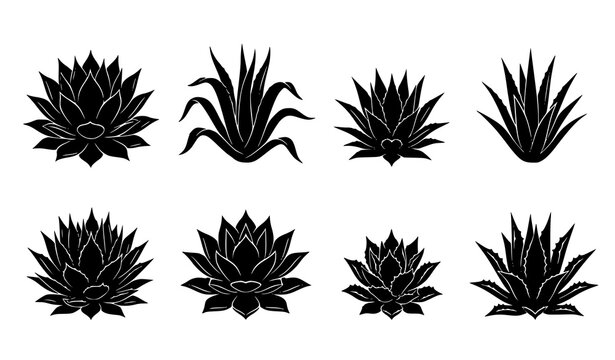 Decorative Agave Plant Silhouette Collection with Desert Succulent Botanical Elements Vector Illustration Set
