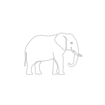 Minimalist elephant silhouette on white background for design elements