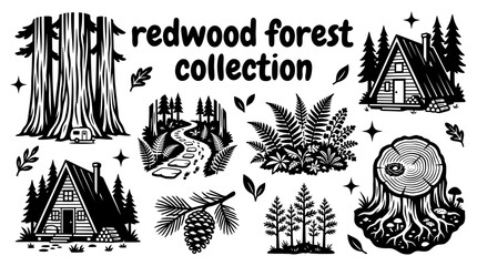 redwood forests featuring giant sequoias towering trunks woodland trails fern covered landscapes forest cabins and ancient tree ecosystems arranged as a premium commercial vector illustration set © Ethan