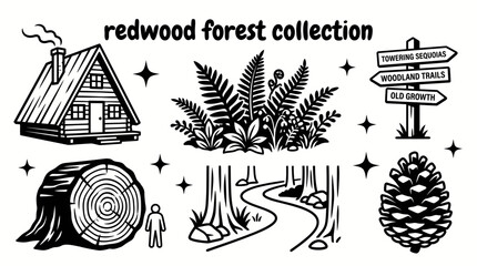 redwood forests featuring giant sequoias towering trunks woodland trails fern covered landscapes forest cabins and ancient tree ecosystems arranged as a premium commercial vector illustration set © Ethan