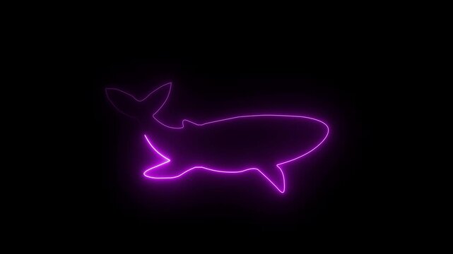 A futuristic hologram digital grid shark, glowing in magenta neon light, swimming with dynamic wave-like patterns. 4k Animation .