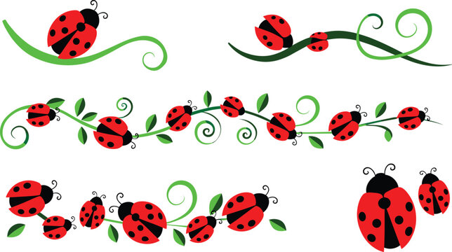 Cute ladybug seamless divider vector element set with green vine swirls and isolated red ladybird illustrations
