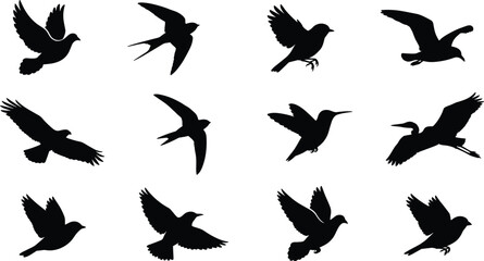 Obraz premium Flying Bird Silhouette Vector Icon Set with Eagle, Swallow, Hummingbird, Seagull, Heron, and Sparrow Shapes for Nature Wildlife Graphic Designs