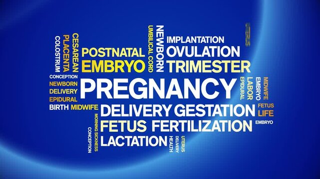 Pregnancy animated word cloud-animation tag kinetic typography seamless loop.
