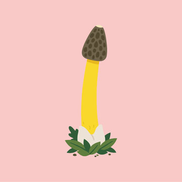 A stylized digital illustration of a tall, phallic-shaped mushroom with a yellow stalk and a spotted cap
