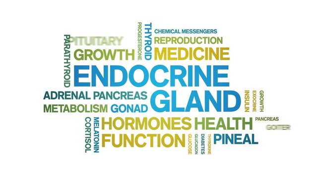 Endocrine Gland animated word cloud-animation tag kinetic typography seamless loop.