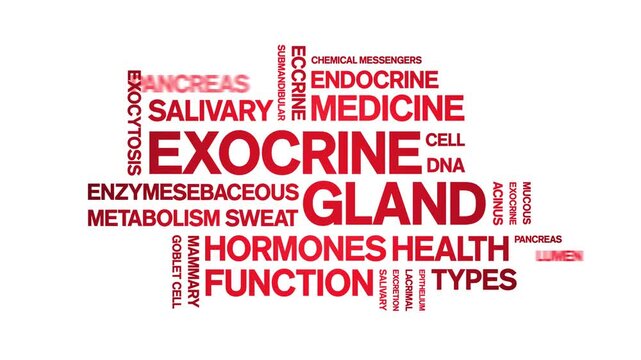 Exocrine Gland animated word cloud-animation tag kinetic typography seamless loop.