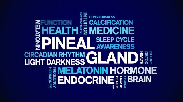 Pineal Gland animated word cloud-animation tag kinetic typography seamless loop.