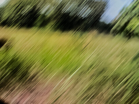 Modern abstract wallpaper with dynamic blurred lines resembling windblown grass.