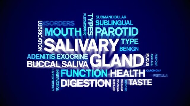 Salivary Gland animated word cloud-animation tag kinetic typography seamless loop.