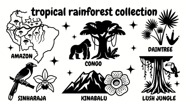tropical rainforests featuring amazon congo daintree sinharaja kinabalu and lush jungle ecosystems with towering trees exotic plants winding rivers and remarkable biodiversity arranged as a premium