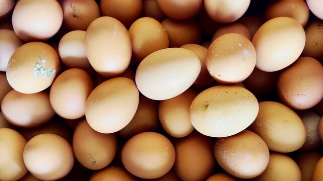 Close-up assortment of fresh brown and white chicken eggs ready for cooking.