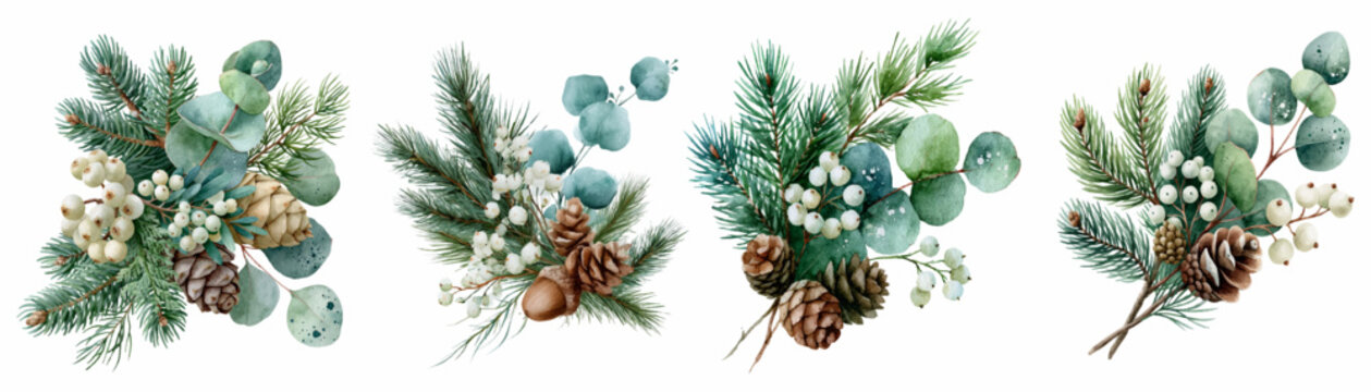 Watercolor winter bouquets featuring evergreen pine tree branches, eucalyptus leaves, snowberries, and natural pine cones, creating festive botanical compositions for holiday designs
