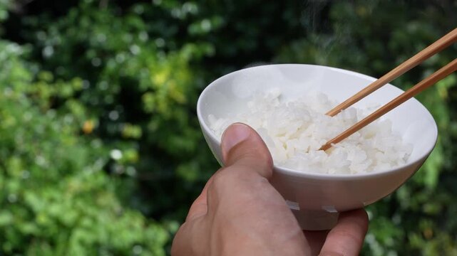 茶碗から炊き立て"ごはん"を箸で摘み上げる(箸上げ)4Kスローモーション動画