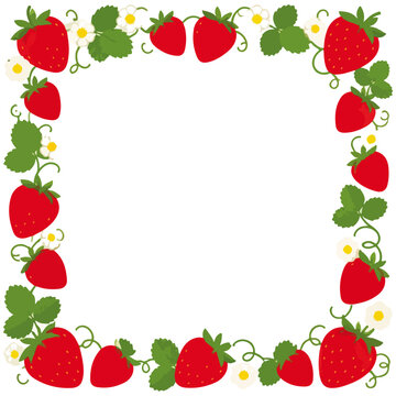 Red Strawberry and White Flower Border Vector