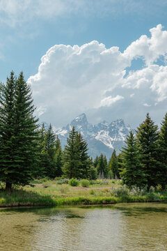 Mountain peaks rising beyond evergreen trees and a quiet pond.